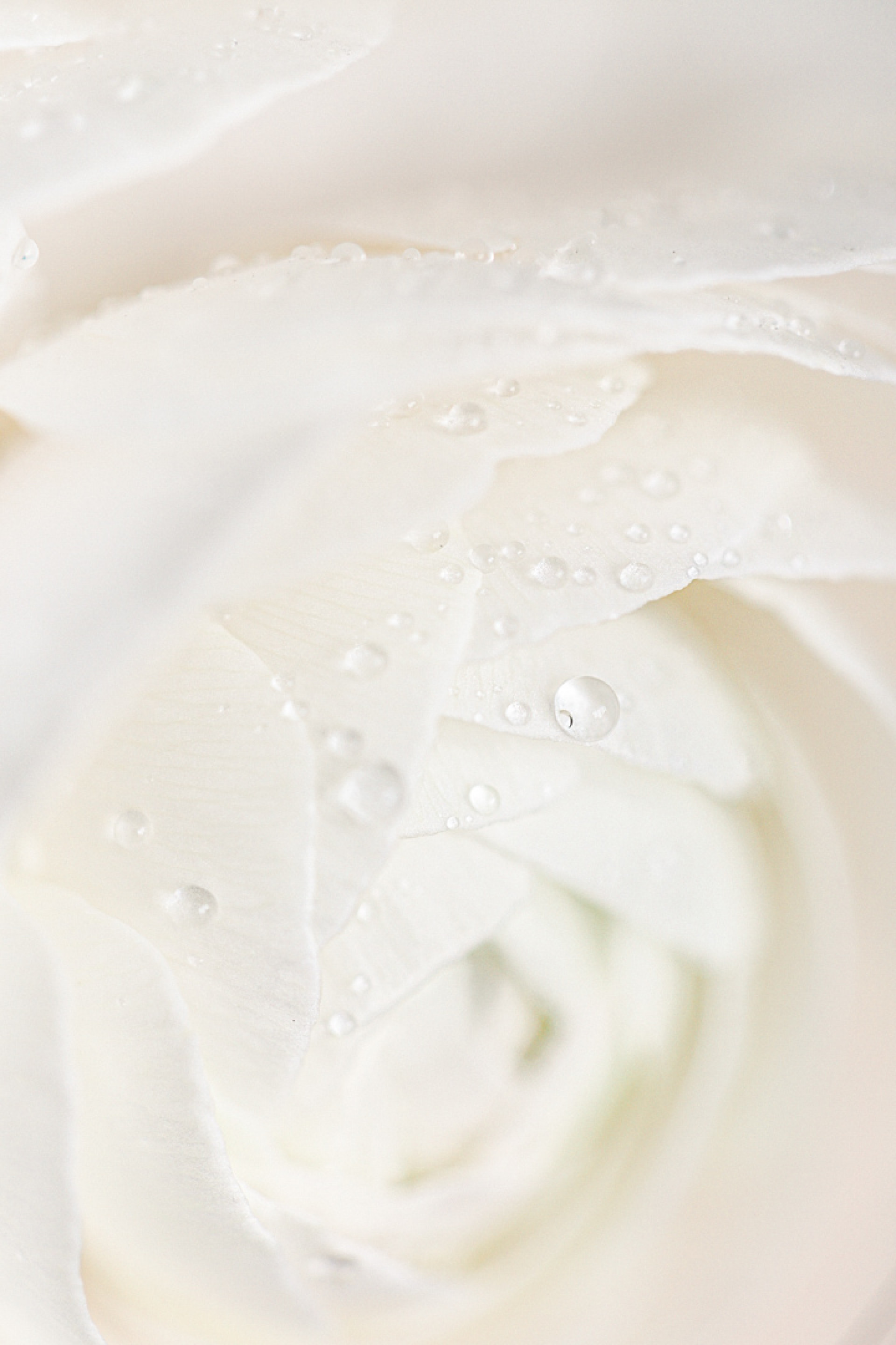 Inspiration Printemps